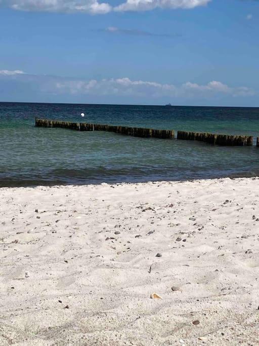 Familienurlaub Mit Hund An Der Ostsee Admannshagen-Bargeshagen Exterior photo